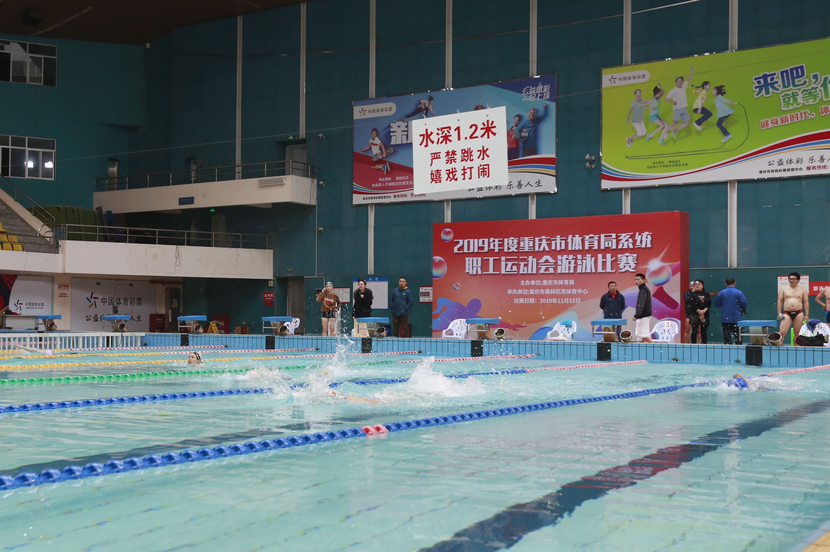 图为:游泳比赛现场