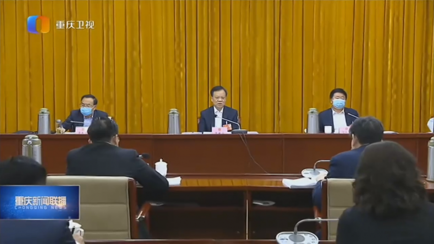 重庆代表团举行代表小组会议审议民法典草案 陈敏尔何毅亭唐良智张轩参加