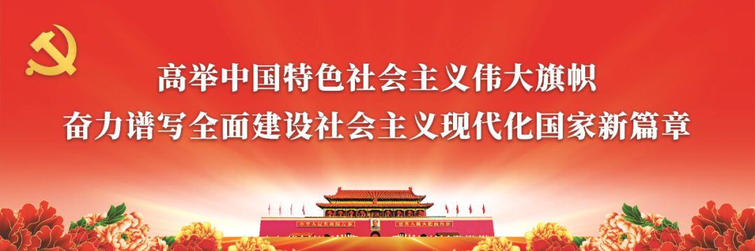 四万里挑一！二十大代表是怎么选出来的？